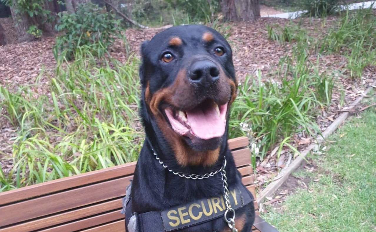 A1 K9 Security About Us